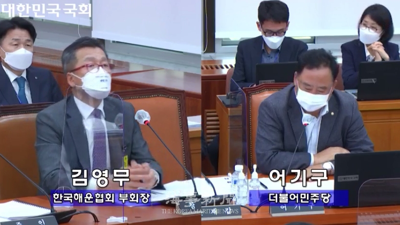 의원들의 질의에 답변하는 한국해운협회 김영무 상근부회장(좌측, 제공 국회)