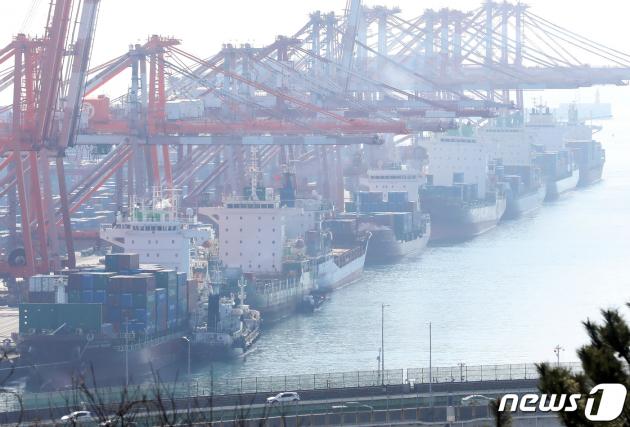 부산항 신선대부두 컨테이너 하역작업 모습. 2024.2.7/뉴스1 ⓒ News1 윤일지 기자