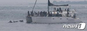 남방큰돌고래에 바짝 붙은 관광선박…"와! 탄성" 잔인한 제주 바다